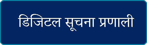 डिजिटल-सूचना-प्राणाली